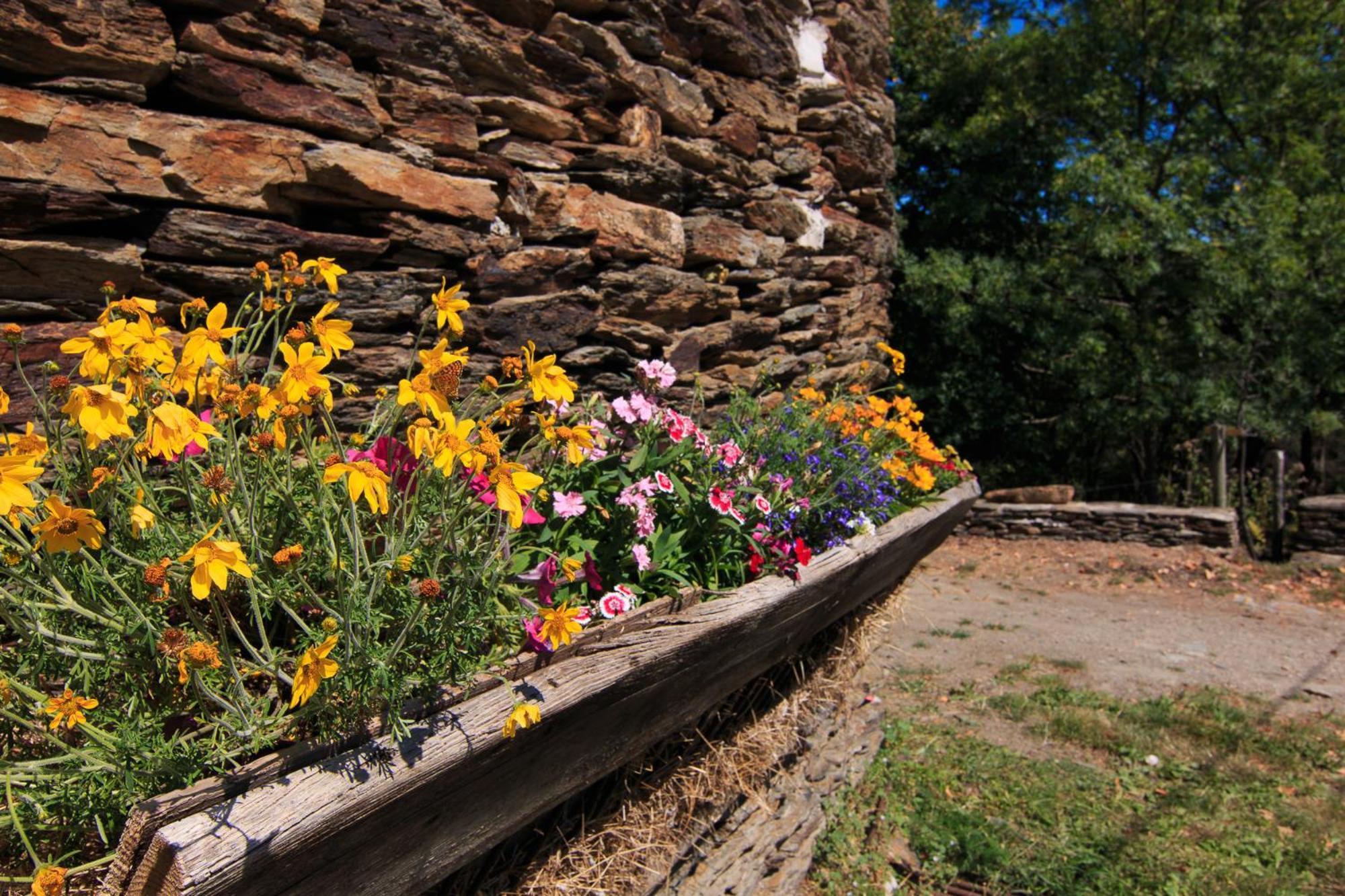 Gites Des Esperelles Saint-Privat-de-Vallongue Oda fotoğraf